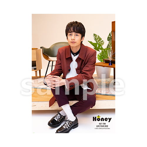 C7SgursdXmifJgMyDU8UC6lTFiieyvrvWeSJGedn