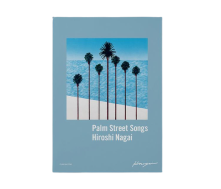 12.Palm Street Songs