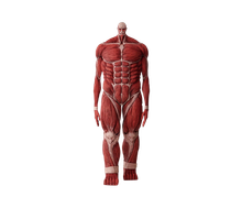 09. Colossal Titan